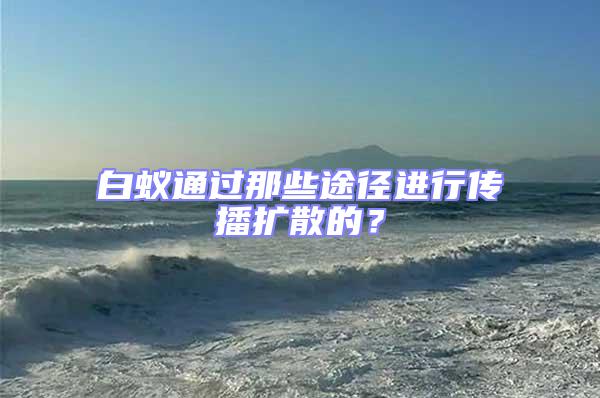 白蟻通過那些途徑進行傳播擴散的？