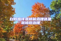 白蟻應(yīng)該裝修前治理還是裝修后治理